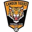 Logo of Camden Tigers SC