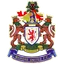 Logo of Marske United