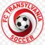 FC Transylvania