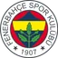 Logo for Fenerbahce U19