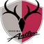 Logo of Kashima Antlers (Youth)