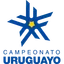Uruguay Primera Division
