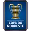 Brazilian Youth Championship