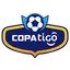 Bolivian Primera Division