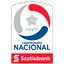 Chilean Primera Division