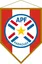 Paraguayan Cup