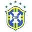 Logo for Brazilian Campeonato U19