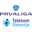 Logo for Slovenia 1.Liga