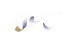 FIFA World Cup qualification (AFC)