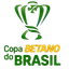Picture for Brazilian Cup
