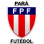 Logo for Campeonato Paraense null