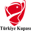 Logo for Turkish Cup
