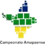 Logo for BRA A 2