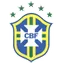Logo for Campeonato Brasileiro de Futebol Feminino Série A1 2024