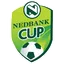 South Africa League Cup