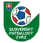 Slovenia Women's League