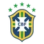 Brazilian Women's Cup
