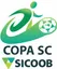Brazilian Santa Catarina Cup