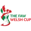 Logo for Welsh Cup
