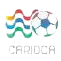 Picture for Brazilian Campeonato Carioca C