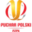 Polish Cup