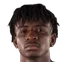 Picture of Danny Lupano