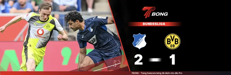 7BONG highlight: Hoffenheim VS Dortmund [18-04-26] • Bundesliga