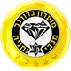 Logo of Maccabi Netanya