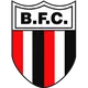 Logo of Botafogo SP