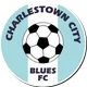 Logo of Charleston City Blues