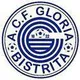Logo of FC Gloria Bistrita