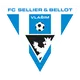 FK Graffin Vlasim