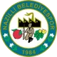 Logo of Nazillispor