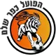 Logo of Hapoel Kfar Shalem
