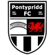 Logo of Pontypridd
