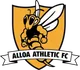 Logo of Alloa Athletic