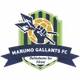 Logo of Marumo Gallants FC