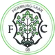 Logo of FC 08 Homburg