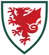 Logo of Wales (w)