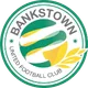 Logo of Bankstown Berries FC
