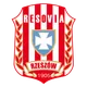 Logo of Resovia Rzeszow
