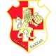 Logo of Naxxar Lions