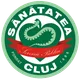 Logo of CS Sanatatea Cluj