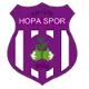 Logo of Artvin Hopaspor