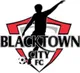 Logo of Blacktown City Demons