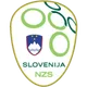 Slovenia Women U19