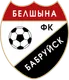Logo of FC Belshina Babruisk