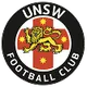 Logo of University NSW