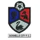 Logo of Gosnells City