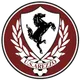 Logo of Arezzo